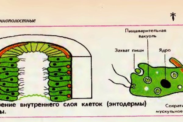 Кракен сайт что
