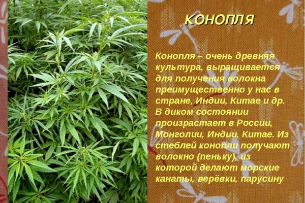 Как попасть на сайт кракен
