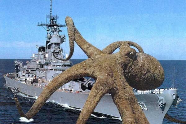 Kraken russia