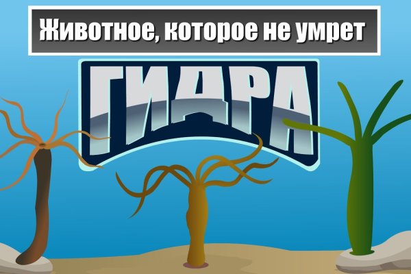 Список даркнет сайтов