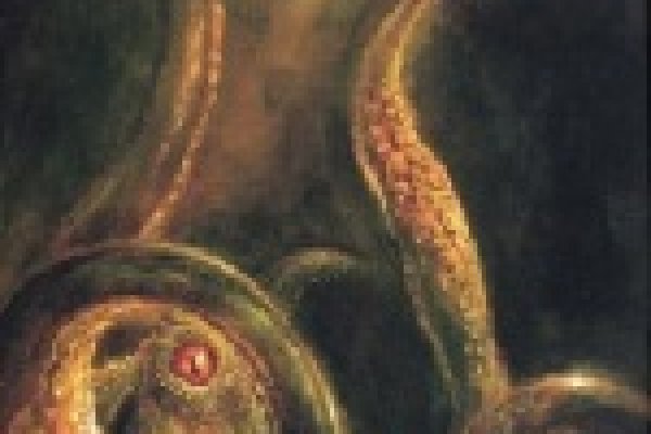 Kraken ссылка kraken clear com