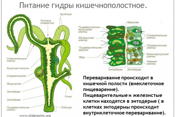 Кракен браузер ссылка